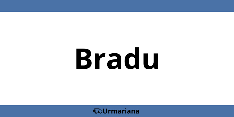 Sediu telefon contact GLS Bradu